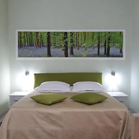 Kaduku 3* Shkoder